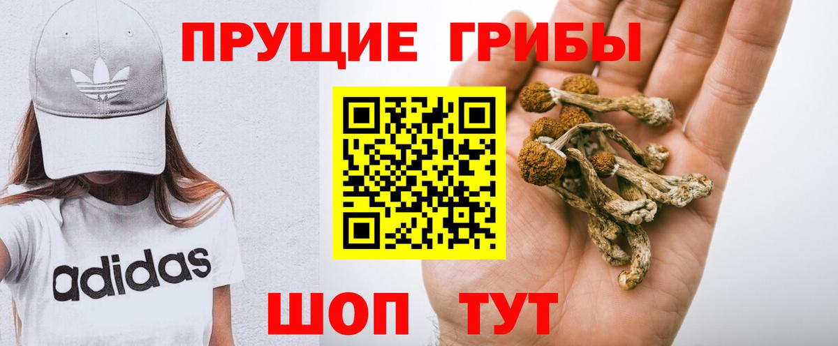 Псилоцибиновые грибы ЛСД  купить   Отрадный  Вход с VPN 