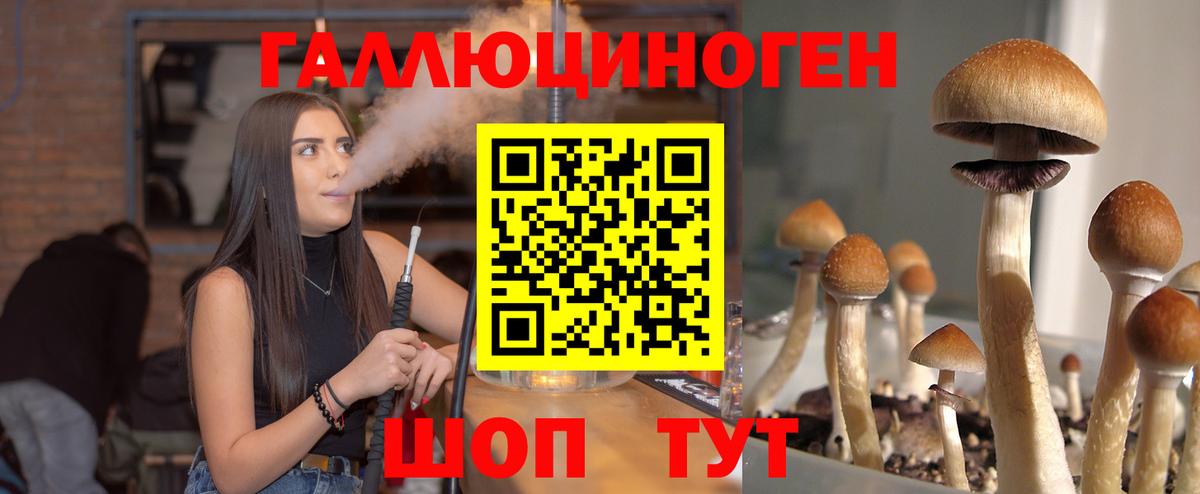 Галлюциногенные грибы GOLDEN TEACHER Отрадный